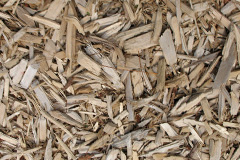 biomass boilers Fishlake